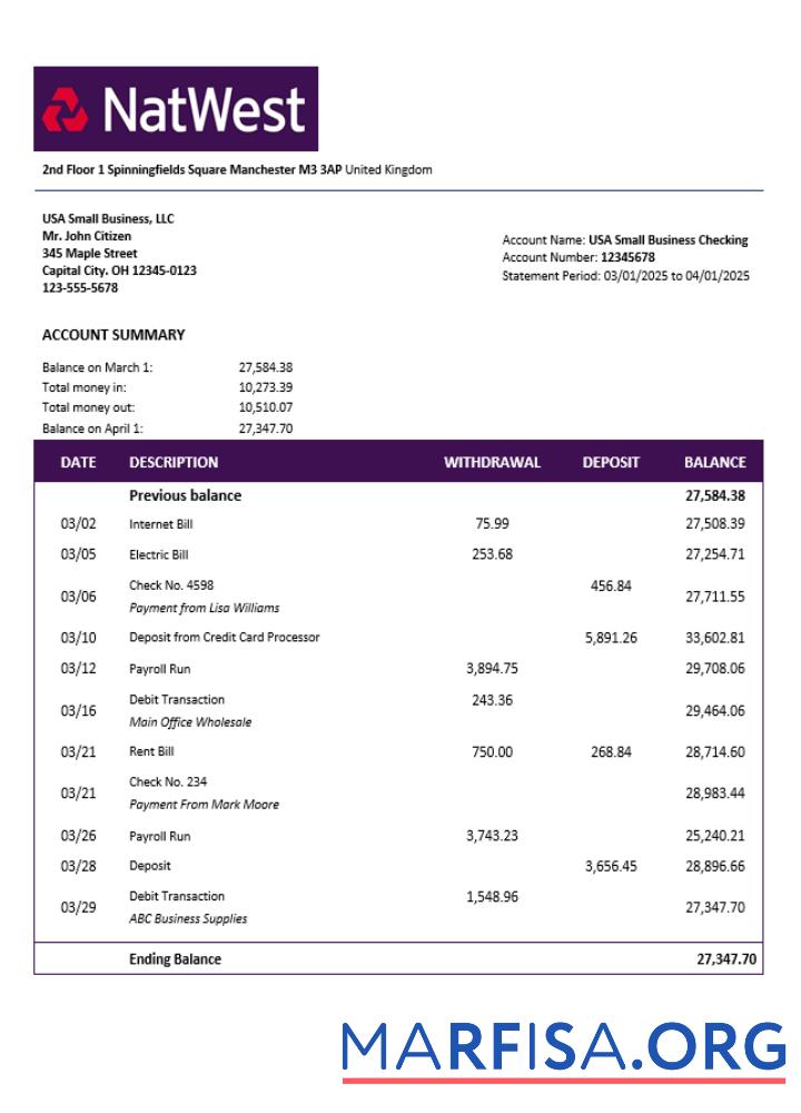 Printable United Kingdom NatWest firm account statement Word and PDF template